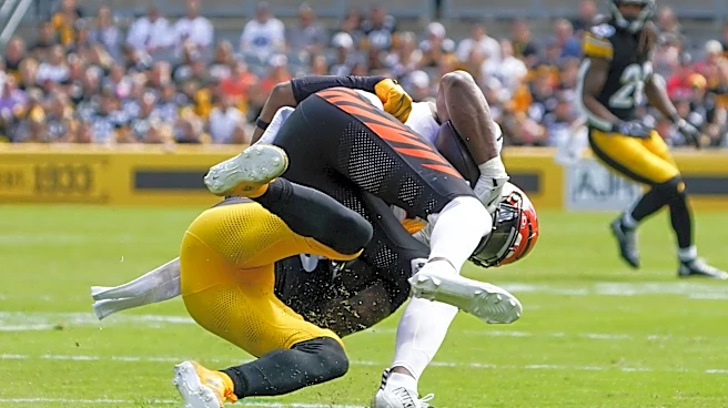 Bengals DE Cedric Johnson fined for roughing Steelers' punter
