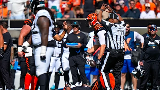 CBS analyst Turbin 'really shocked' Ja'Marr Chase hit wasn't penalized