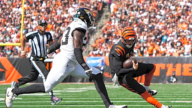 What grade would you give the Bengals after Jaguars loss?