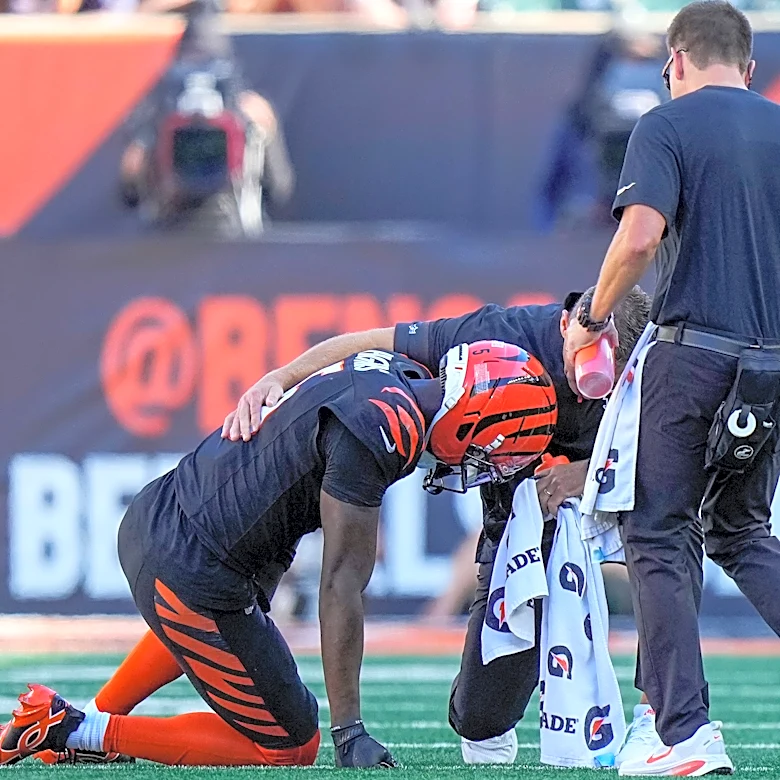 Bengals' Tee Higgins 'day to day' with adductor injury - Zac Taylor