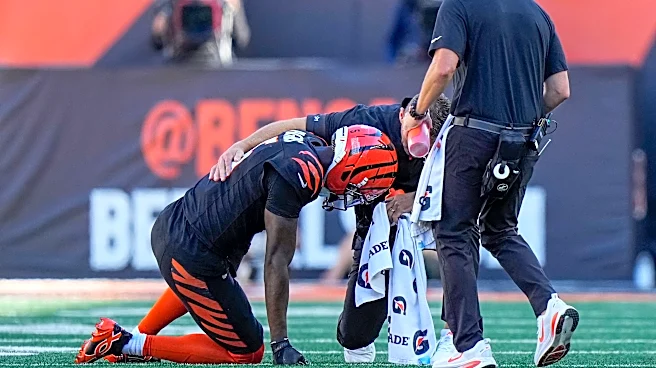 Bengals' Tee Higgins 'day to day' with adductor injury - Zac Taylor