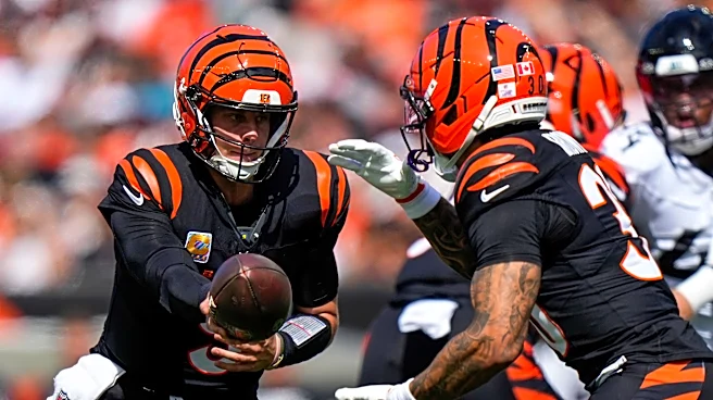 What the Bengals are saying about their ineffective run game this season