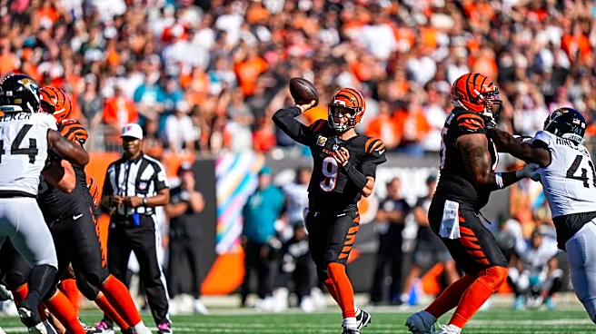 Bengals see mixed results in NFL power rankings after Jaguars loss