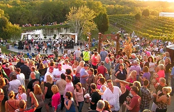 Top 10 things to do this weekend. Blink, Asianati and pumpkins galore