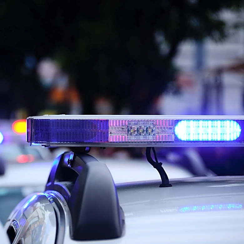 4 charged after thrown pineapple leads to Tesla windshield damage in West Chester