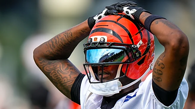 Tee Higgins to be limited in Bengals' practice for Week 5 vs Dolphins