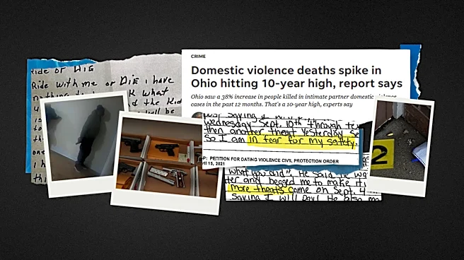 Guns in the wrong hands cost Ohio partners their lives