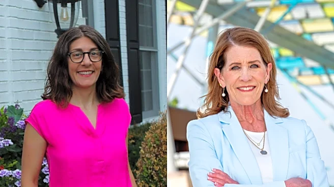 Meet the candidates running in Ohio House District 28
