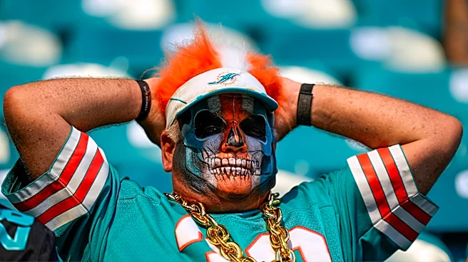 Bengals-Dolphins officiating crew member faints from heat, per Fox