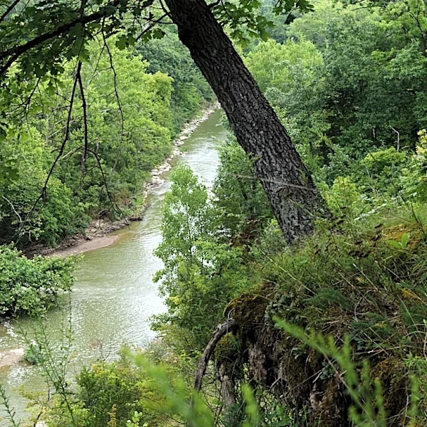 New park in Butler County a 'great place to spot bald eagles'
