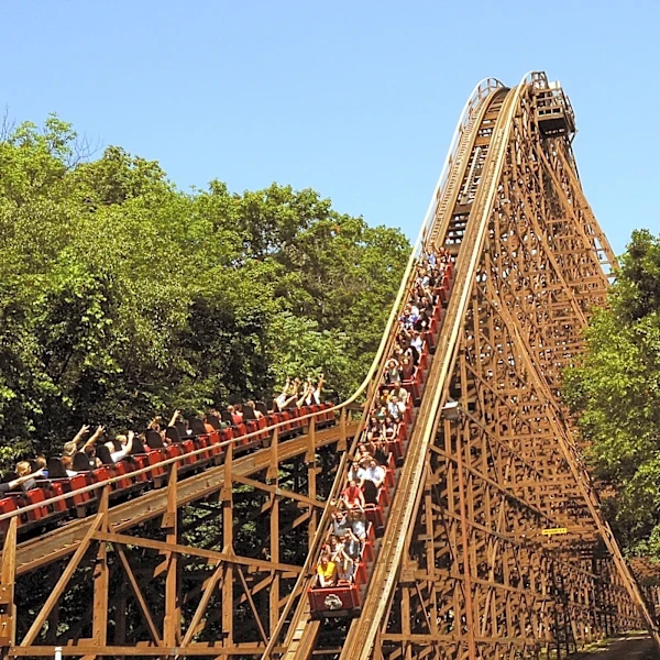 Six Flags death magnifies brain injury concerns and call for sale