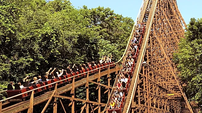 Six Flags death magnifies brain injury concerns and call for sale