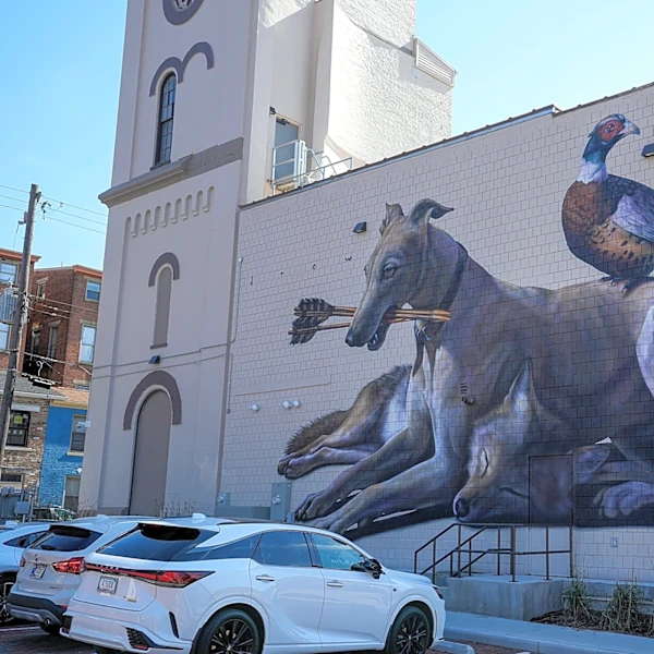 Blink brought 30+ new murals to Cincy, NKY. Here's where to see them