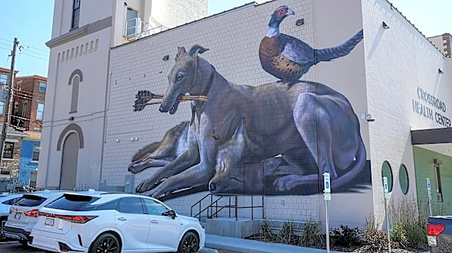Blink brought 30+ new murals to Cincy, NKY. Here's where to see them