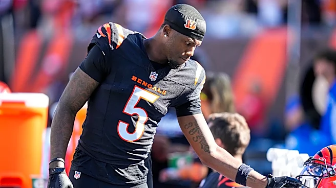 Bengals receiver Tee Higgins injured vs Ravens in NFL Week 7