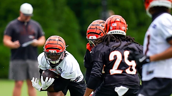 Bengals tight end Erick All Jr injured vs Ravens in NFL Week 7