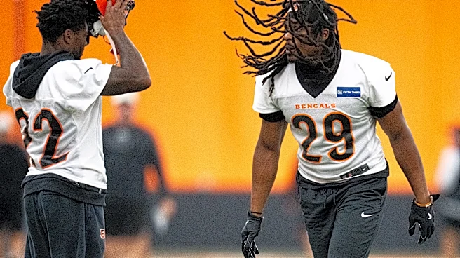Bengals safety Kyle Dugger injured vs Ravens in NFL Week 7