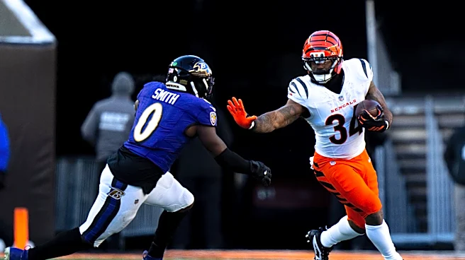 Ravens linebacker Roquan Smith injured vs Bengals in NFL Week 7