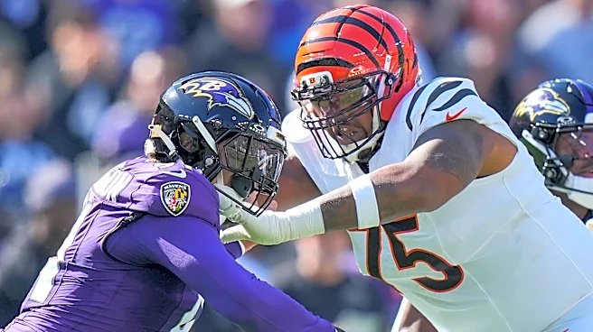 What grade would you give the Bengals after Ravens win?