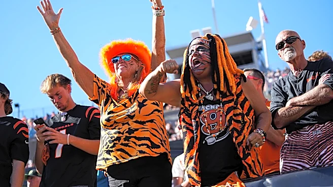 Check out fan grades for Bengals win over Ravens