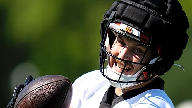 Bengals to sign tight end off Vikings' practice squad, per report