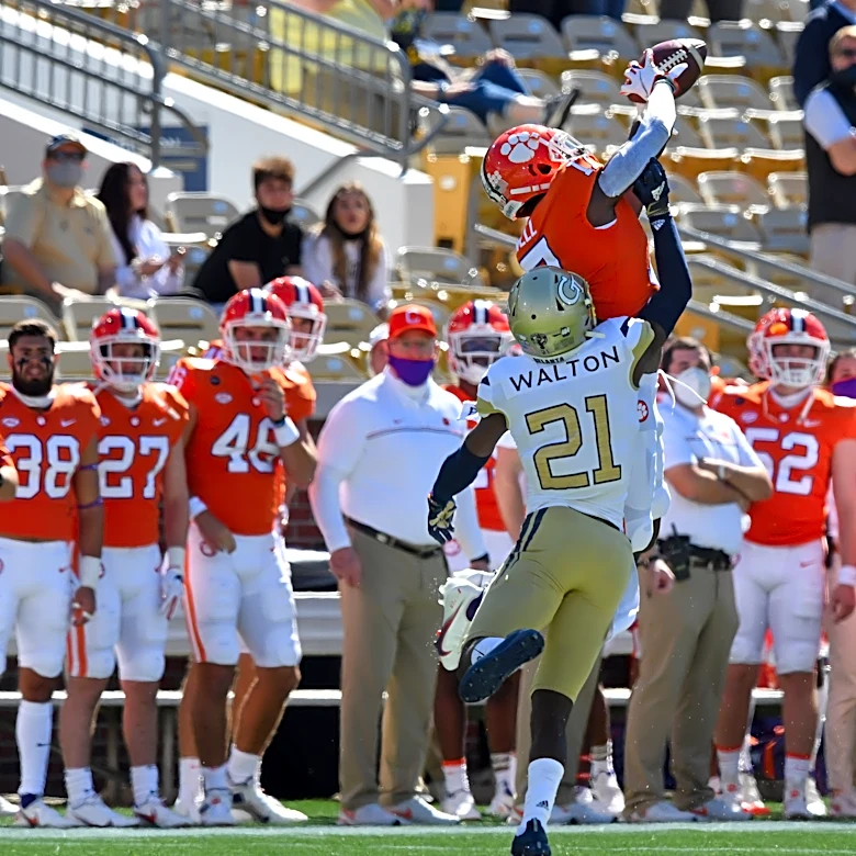 Former Clemson wide receiver released by the Pittsburgh Steelers