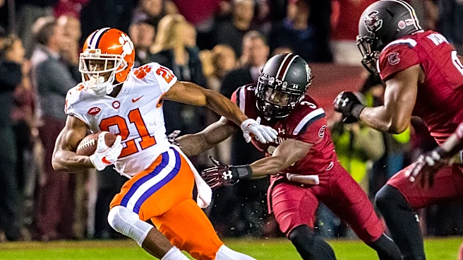 Former Clemson standout wide receiver released by Atlanta Falcons