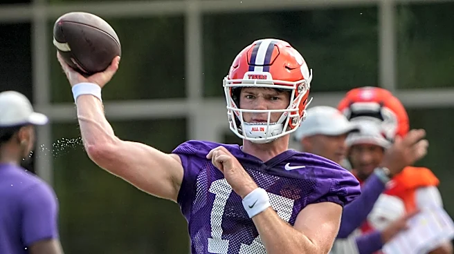 David Pollack on Clemson getting ‘embarsssed,’ talks lack of quarterback