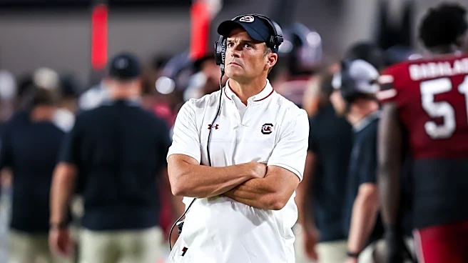 If South Carolina loses to Kentucky, Shane Beamer should be fired | Opinion