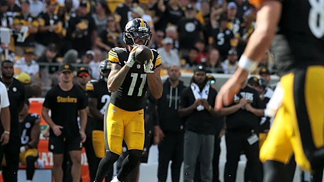 How did former Colts WR Michael Pittman play in Steelers debut?