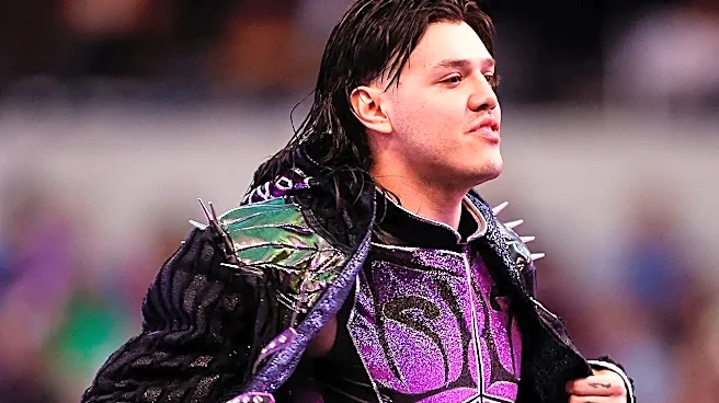 Why SummerSlam Weekend Is a Dream for Wrestling Collectors