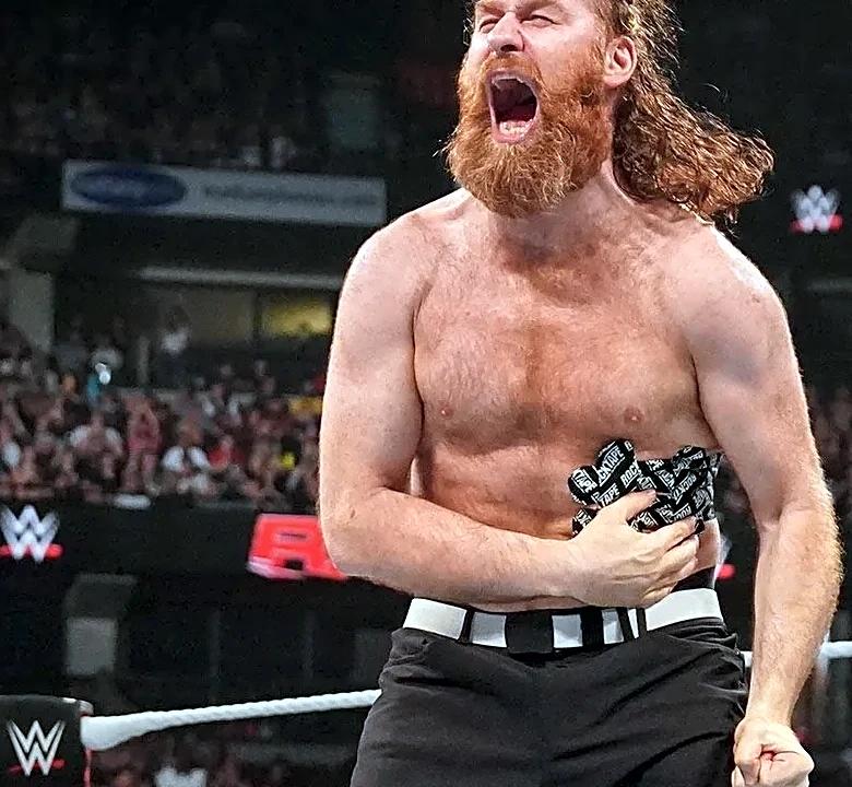 What Every First-Time Fan Should Know Before Attending SummerSlam