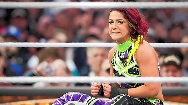 The Little Details That Make SummerSlam Feel Bigger Than a Wrestling Show