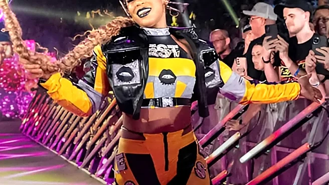 The SummerSlam Experiences Every WWE Fan Should Have at Least Once