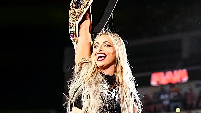 Why Every WWE Fan Has a Favorite SummerSlam Memory