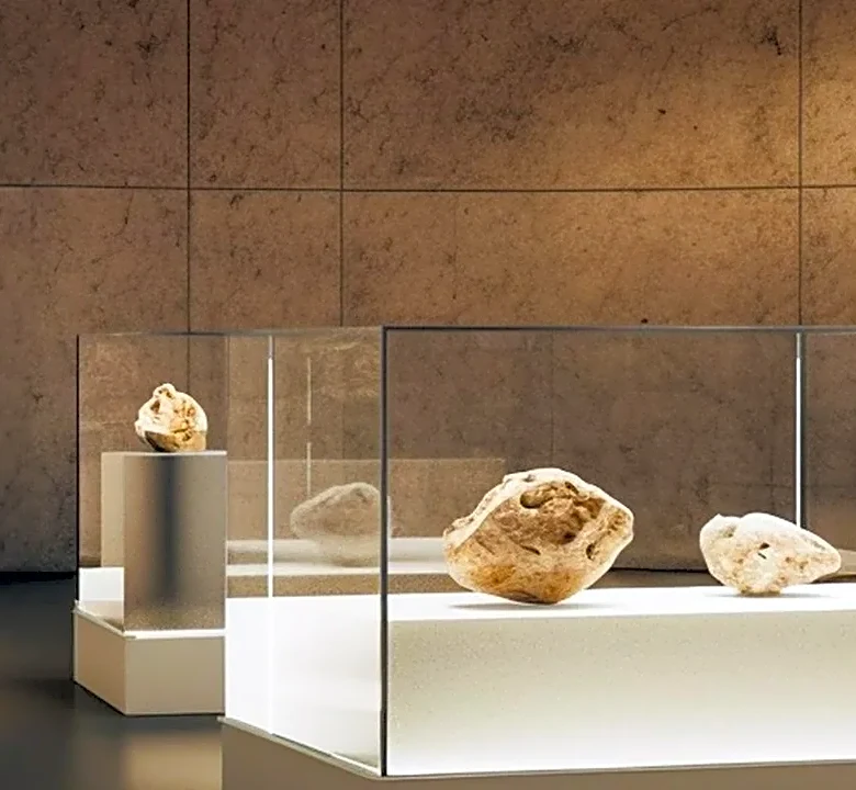 The Most Fascinating Facts About the Pro Football Hall of Fame Collection