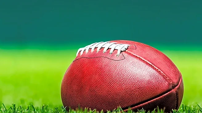 Every Football Fan Should Know These Pro Football Hall of Fame Game Facts