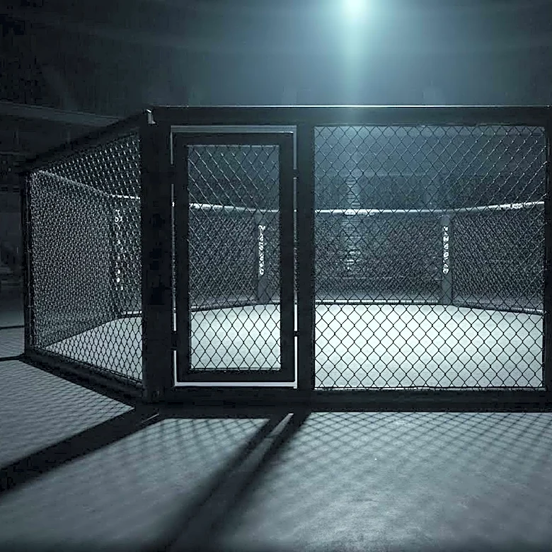 Why Alexia Thainara Is a Prospect Every UFC Fan Should Watch