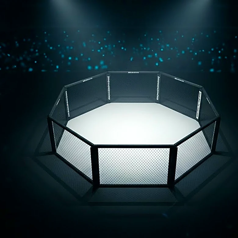 How to Host the Ultimate UFC Fight Night: Gamrot vs. Salkilld Watch Party