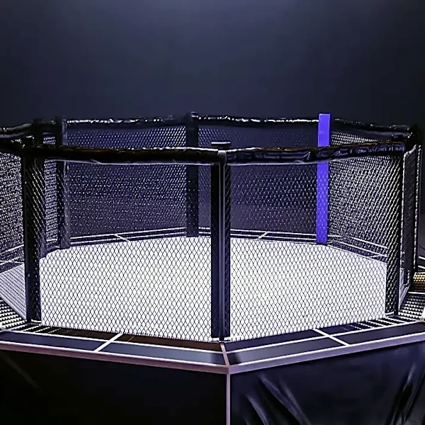 What Every First-Time Fan Should Know Before UFC Fight Night: Gamrot vs. Salkilld
