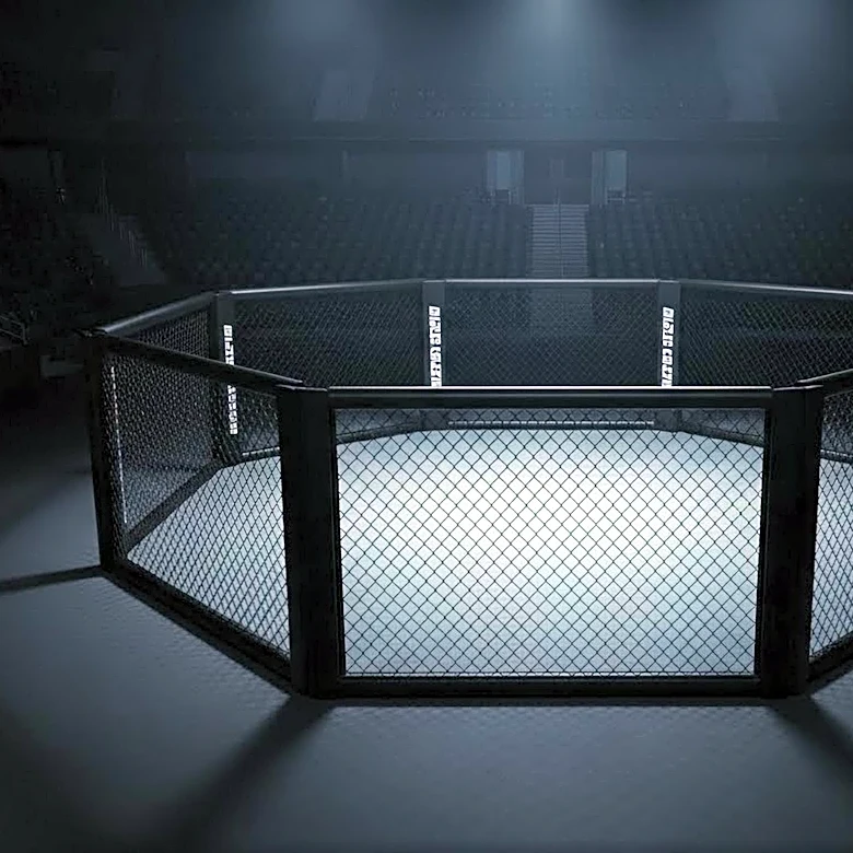 Why UFC 330: Makhachev vs. Machado Garry Showcases the Best of Modern MMA