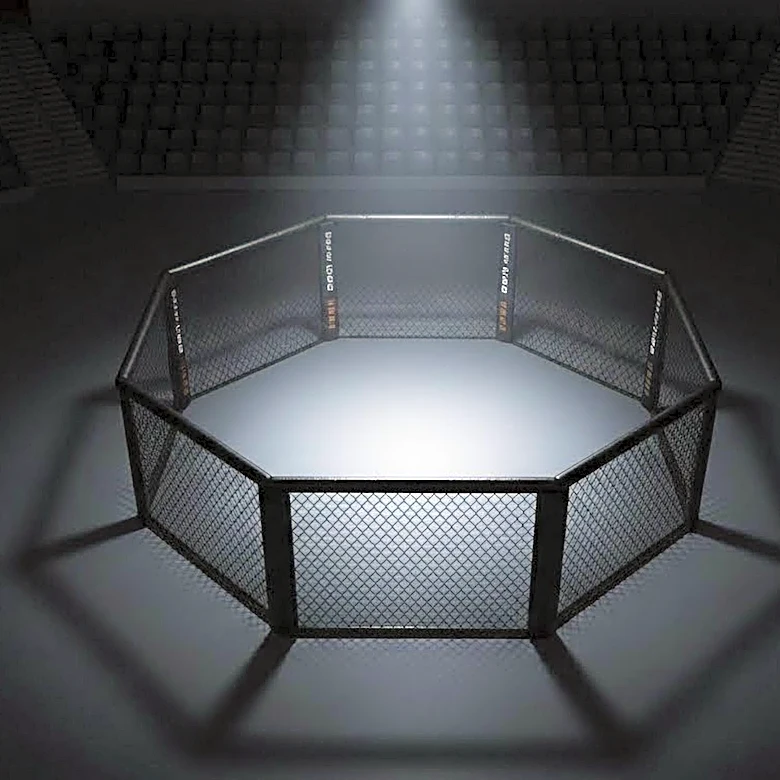 What Every First-Time Fan Should Know Before UFC 330: Makhachev vs. Machado