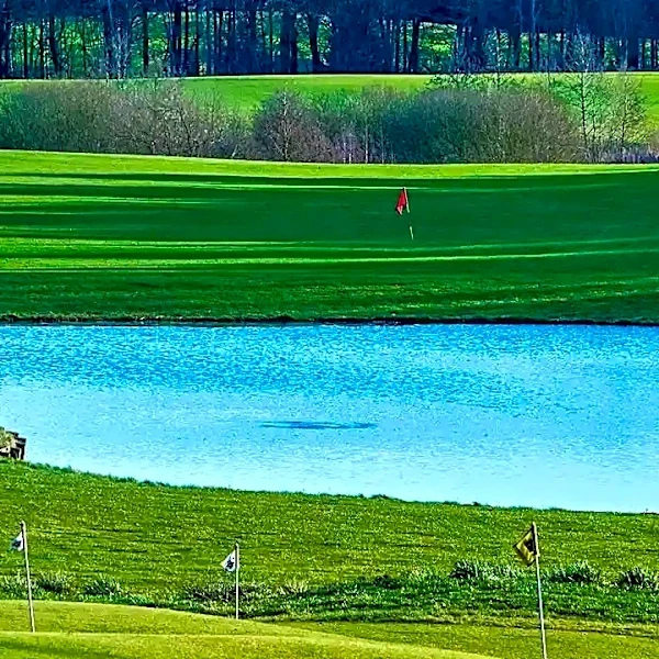 The Course Management Lessons Every Golfer Can Learn From the FedEx St. Jude