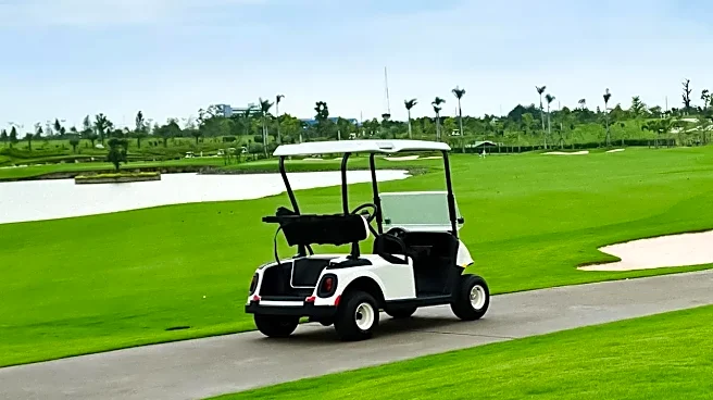The Best Ways to Experience the FedEx St. Jude Championship as a Fan