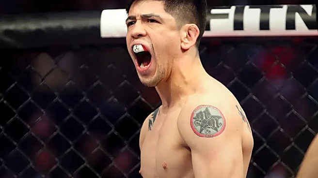 How UFC 330 Brings Together Established Champions and Rising Stars