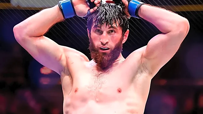 Why UFC Championship Events Create Unforgettable Fan Experiences