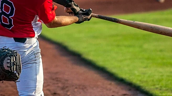 Why the Little League World Series Is a Dream for Young Baseball Players