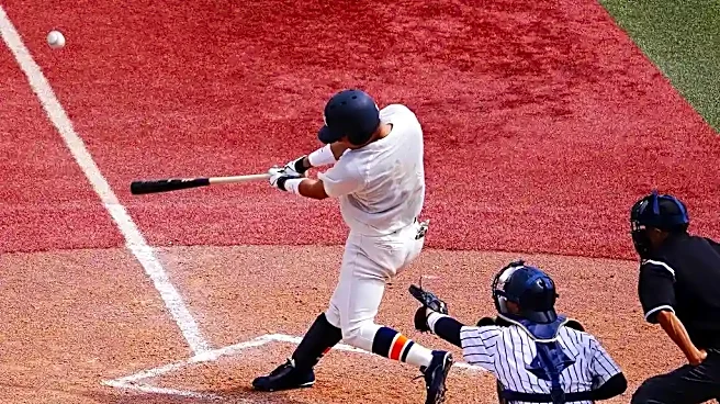 How to Plan the Perfect Little League World Series Weekend