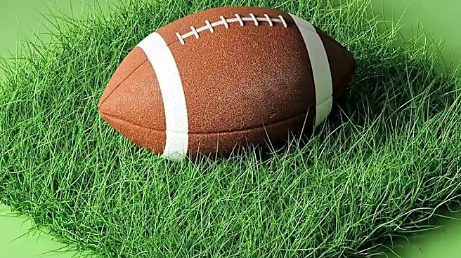 Why Fantasy Football Trash Talk Became Its Own Form of NFL Entertainment