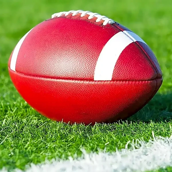 Why Fantasy Football Managers Root Against Their Own NFL Defense